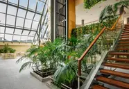 Alegria Caprici Verd