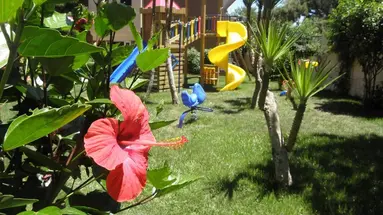 Aleria Belport Beach