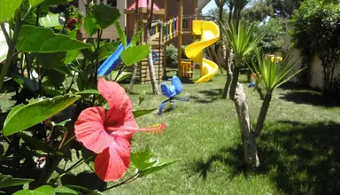 Aleria Belport Beach