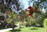 Aleria Belport Beach