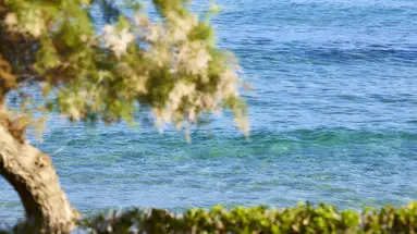 Alexander Beach & Village Resort