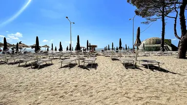Alexander Resort