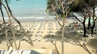 Alexander Resort