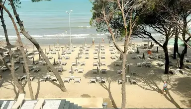 Alexander Resort