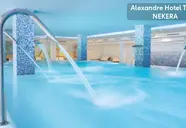 Alexandre Troya 