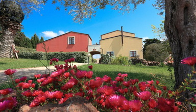 Alghero Resort Country