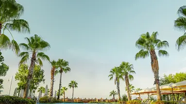 Ali Bey Resort Sorgun