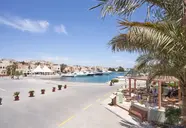 Ali Pasha