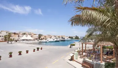 Ali Pasha