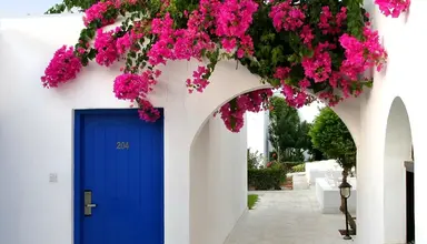 Aliathon Aegean