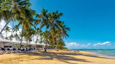 Alisei (Samana)