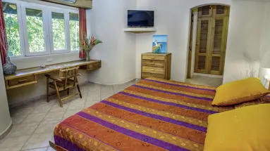 Alisei (Samana)