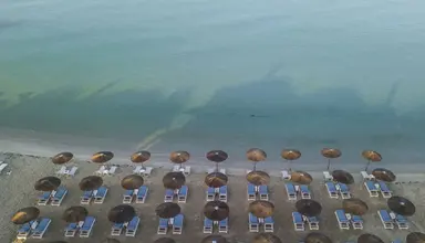 Alkioni By the Sea