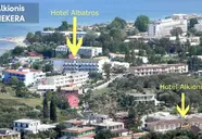 Alkionis