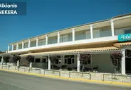 Alkionis