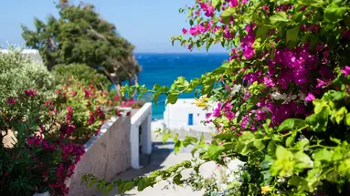 Alkistis