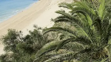 Allsun Esquinzo Beach