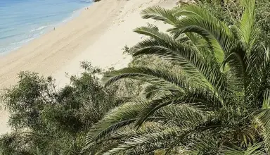 Allsun Esquinzo Beach