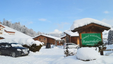 Almdorf Wildschonau