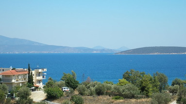 Alonia