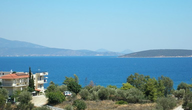 Alonia