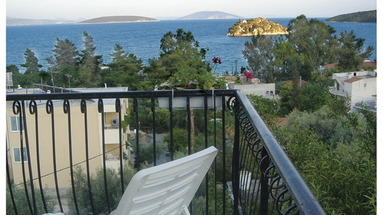 Alonia