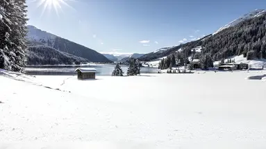 Alpen Gold