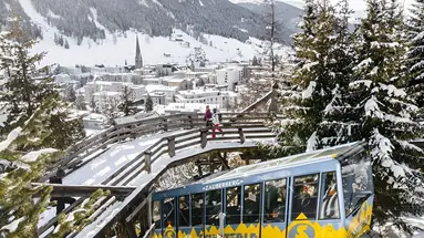 Alpen Gold