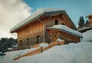 Alpendorf Dachstein West