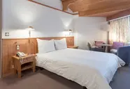 Alpenhotel