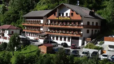 Alpenrose (Alleghe)
