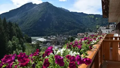 Alpenrose (Alleghe)