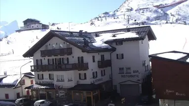 Alpenrose (Fiera Di Primiero)