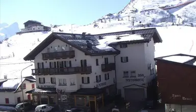 Alpenrose (Fiera Di Primiero)