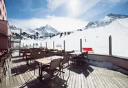 Alpenrose (Kuhtai)