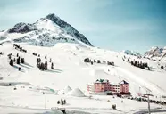 Alpenrose (Kuhtai)