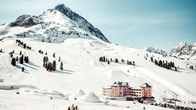 Alpenrose (Kuhtai)