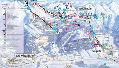 Alpenrose (Tauplitzalm)