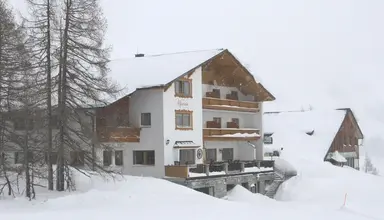 Alpenrose (Tauplitzalm)