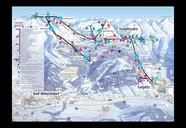 Alpenrose (Tauplitzalm)