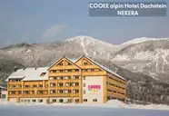 ALPIN Dachste