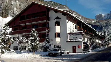 Alpin Haus (Selva Di Val Gardena)
