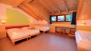 Alpin Haus (Selva Di Val Gardena)