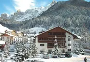 Alpin Haus (Selva Di Val Gardena)