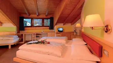 Alpin Haus (Selva Di Val Gardena)