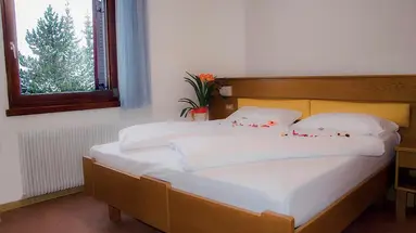 Alpin Haus (Selva Di Val Gardena)
