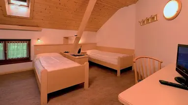 Alpin Haus (Selva Di Val Gardena)