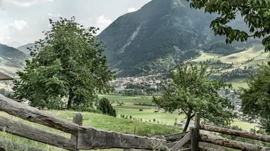 Alpina