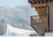 Alpine Collection Wildschonau