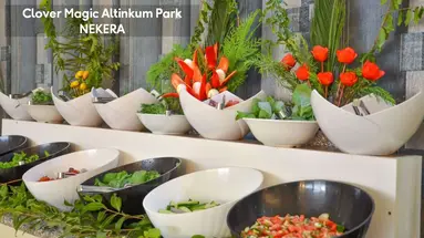 Altinkum Park